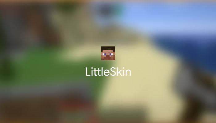 LittleSkin